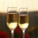 Guests participating in a wine tasting tour at a picturesque vineyard